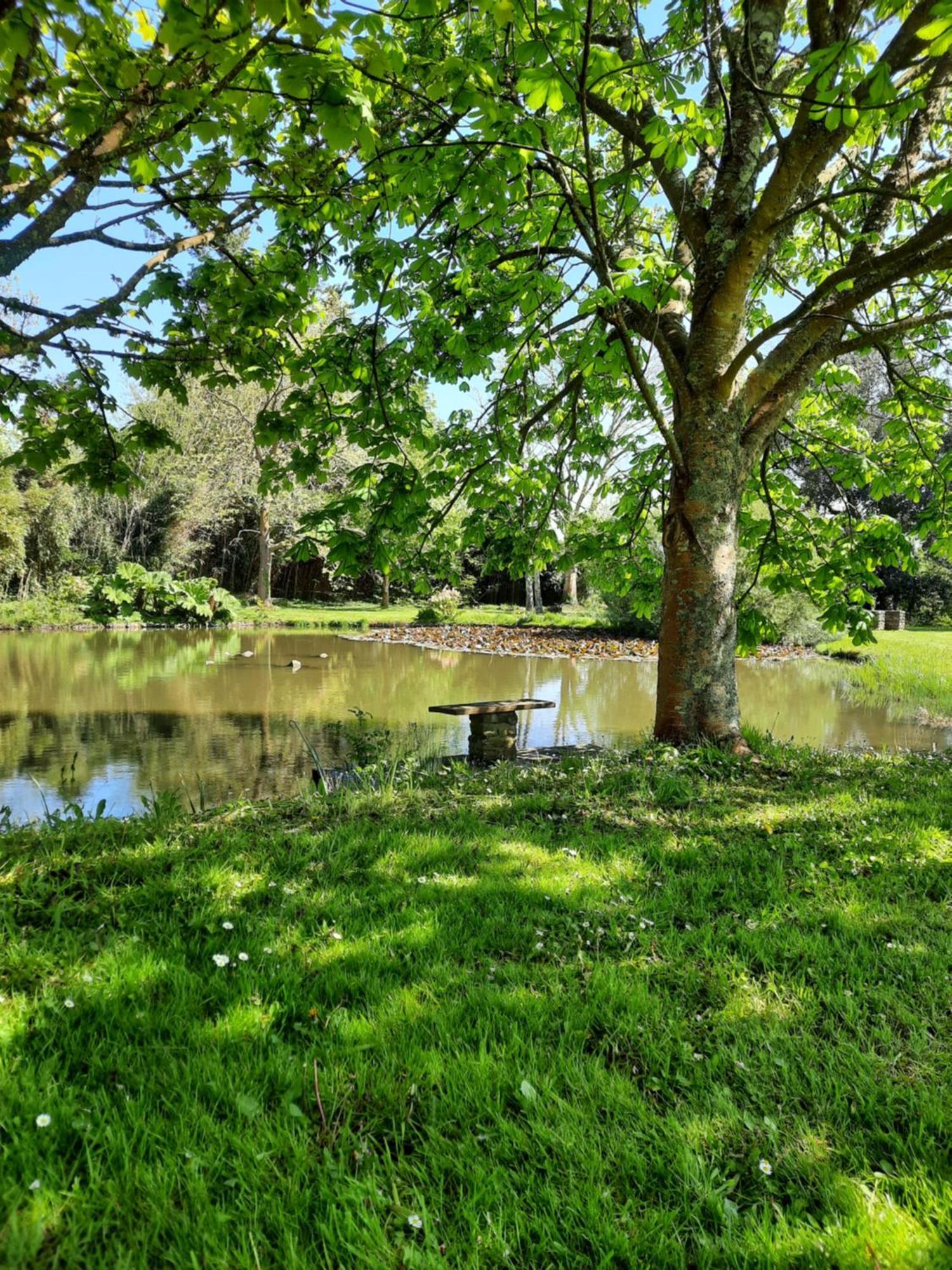 Chambres D'Hotes & Gites - Domaine Les Sources ปอร์ไบ ภายนอก รูปภาพ